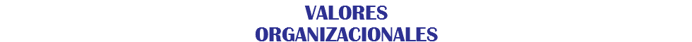 VALORES ORGANIZACIONALES 